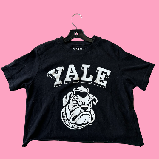 YALE, M