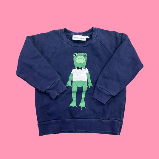 Mini Rodini sweater, 2t