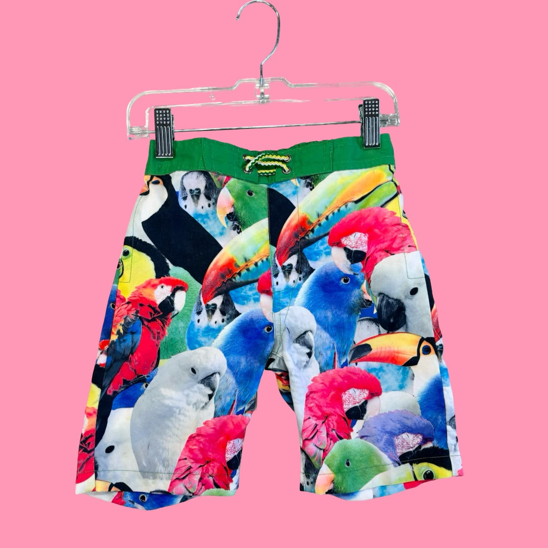 Appaman Swim shorts, 6