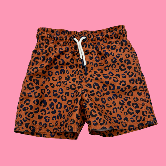 Cat & Jack Swim Shorts, 2t